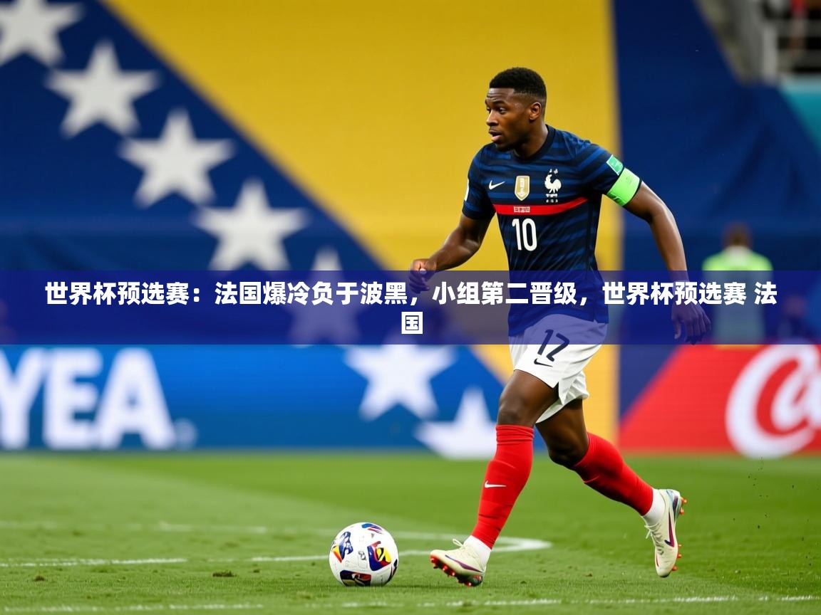 世界杯预选赛：法国爆冷负于波黑，小组第二晋级，世界杯预选赛 法国