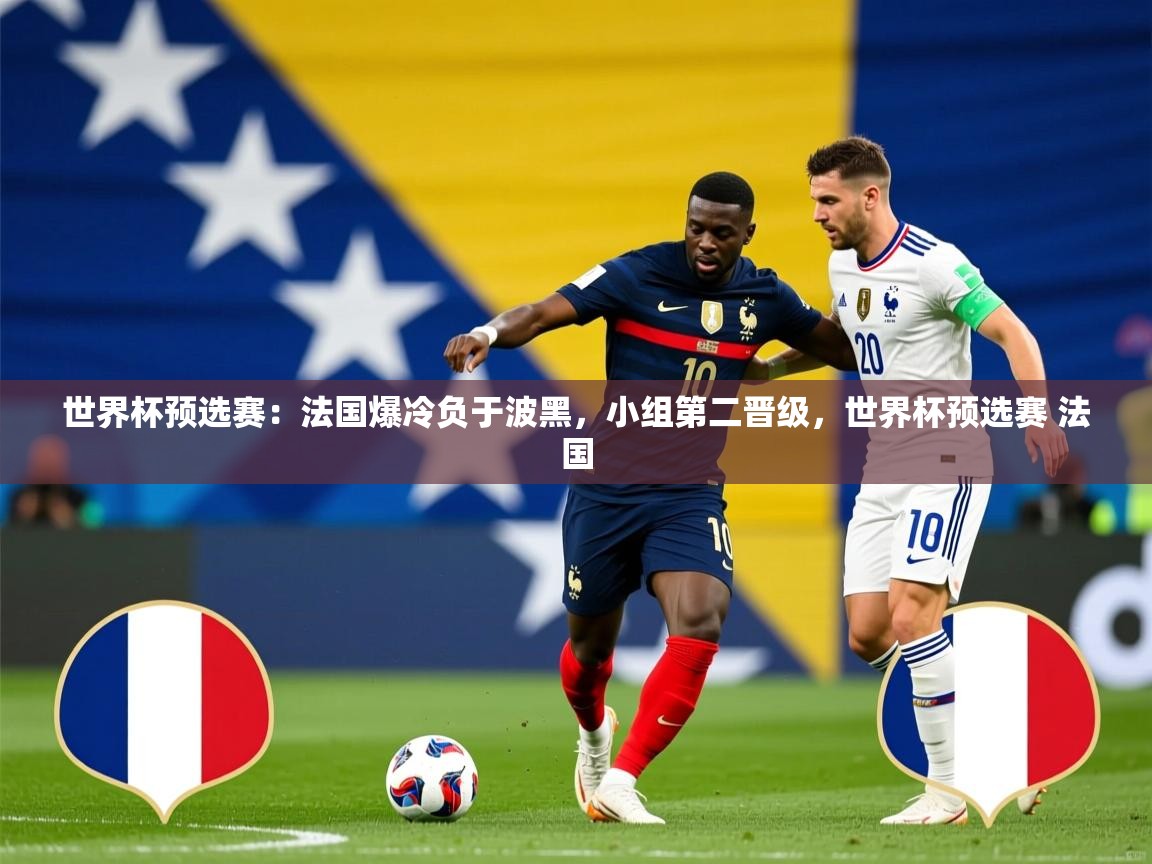 世界杯预选赛：法国爆冷负于波黑，小组第二晋级，世界杯预选赛 法国
