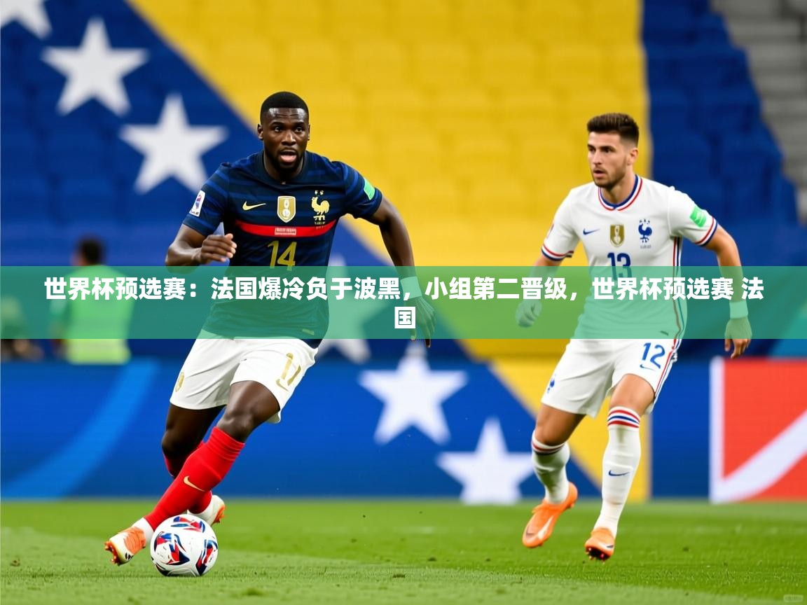世界杯预选赛：法国爆冷负于波黑，小组第二晋级，世界杯预选赛 法国
