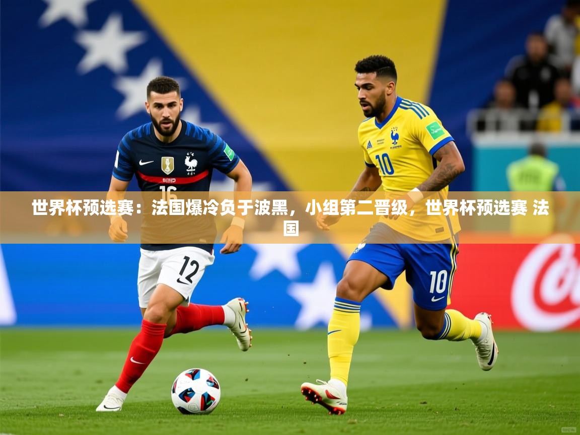 世界杯预选赛：法国爆冷负于波黑，小组第二晋级，世界杯预选赛 法国