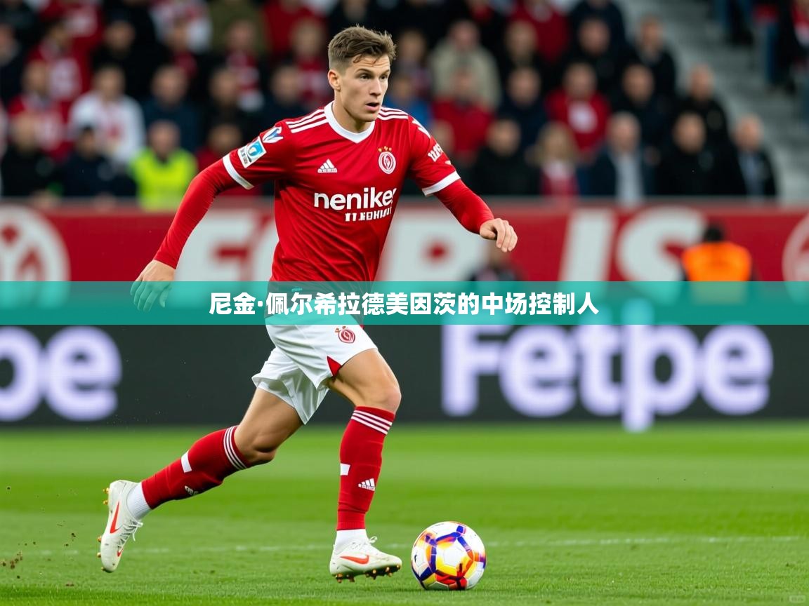 尼金·佩尔希拉德美因茨的中场控制人