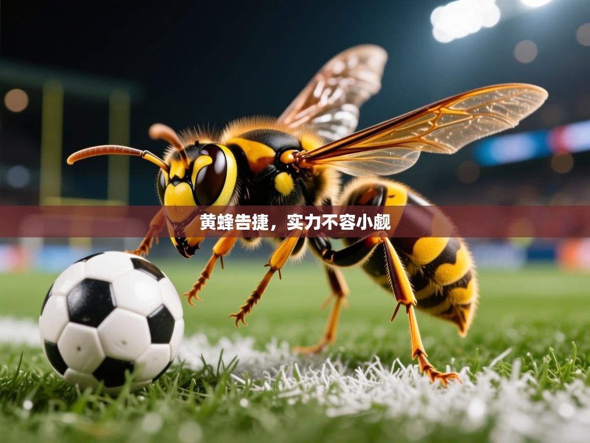 黄蜂告捷，实力不容小觑