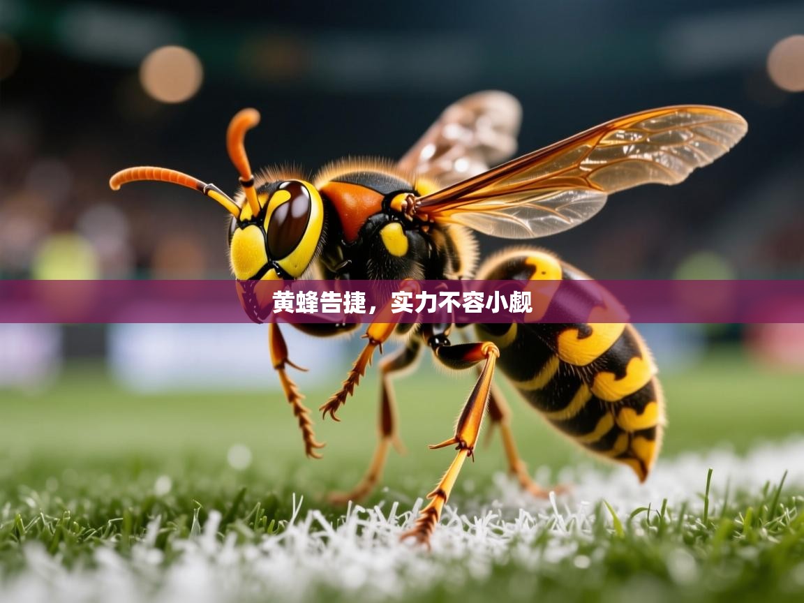 黄蜂告捷，实力不容小觑
